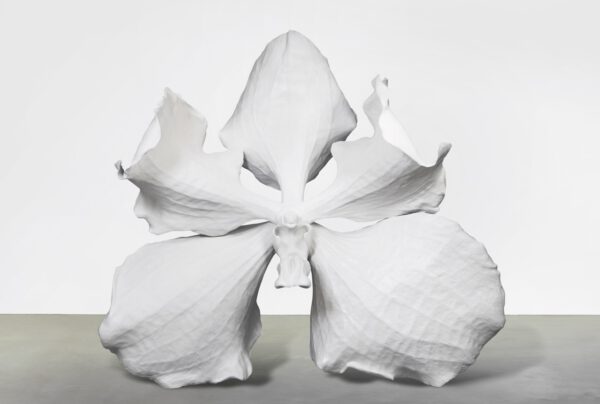 Frozen Flower Sculptures by Marc Quinn - Phalaenopsis in white - on thursd