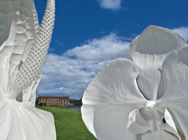 Frozen Flower Sculptures by Marc Quinn - Phalaenopsis and Anthurium Standoff close up - on thursd