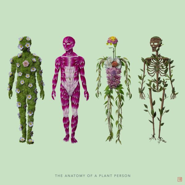 Let’s Explore the Anatomy of A Plant Person