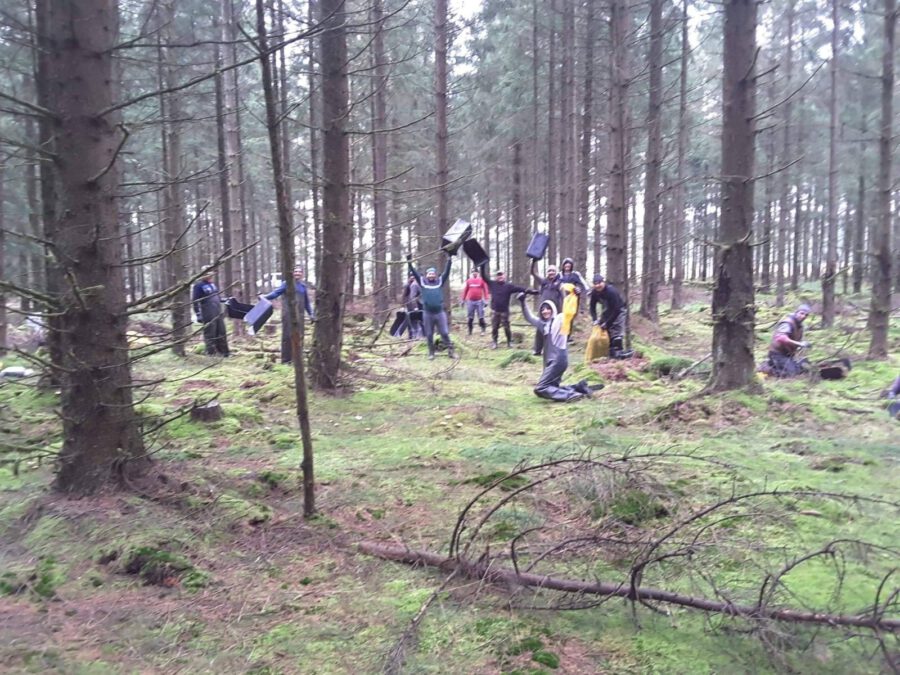 Flat Moss harvesting in Denmark on Thursd