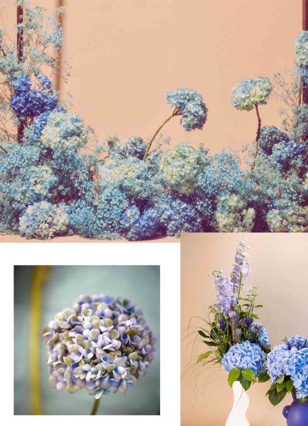greengallery hydrangea article on Thursd collage
