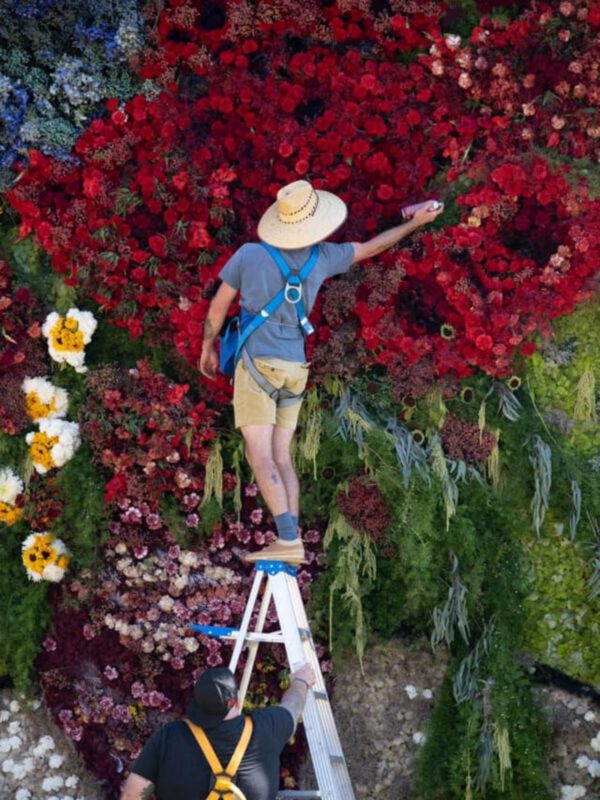 Full Bloom' flower competition serves comfort on HBO Max - Los