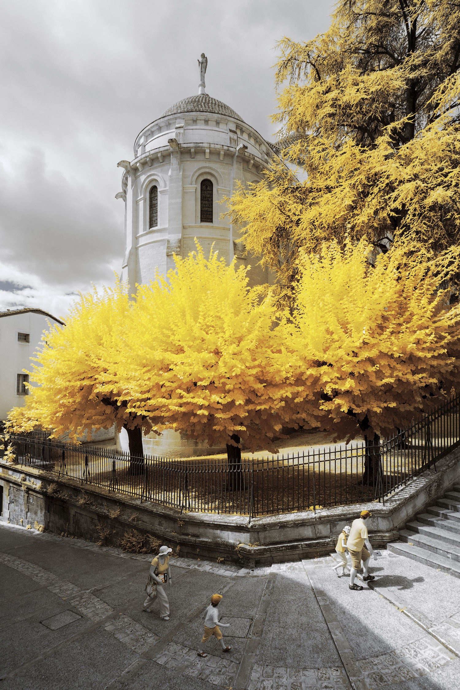  Nature Captured in Yellow Yellow Trees