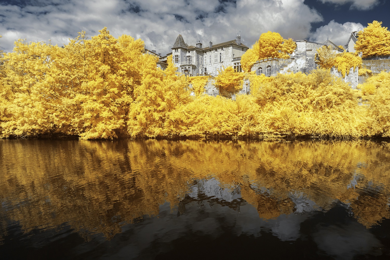 Pierre-Louis Ferrer Captures Nature in Yellow