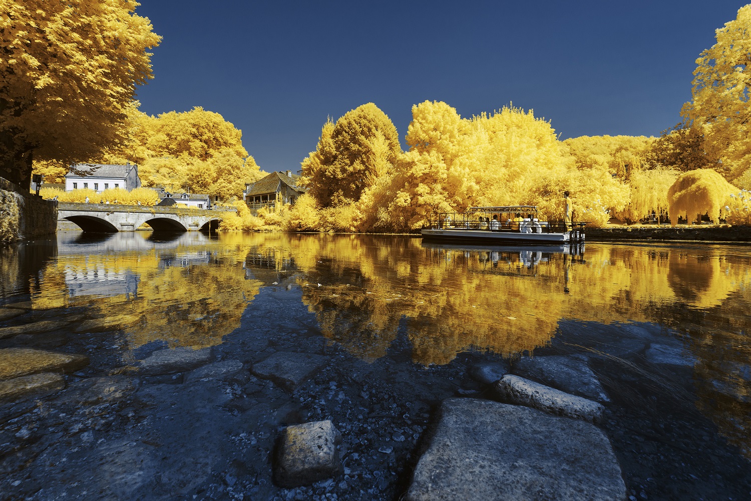 Pierre-Louis Ferrer Captures Nature in Yellow Dordogne in France