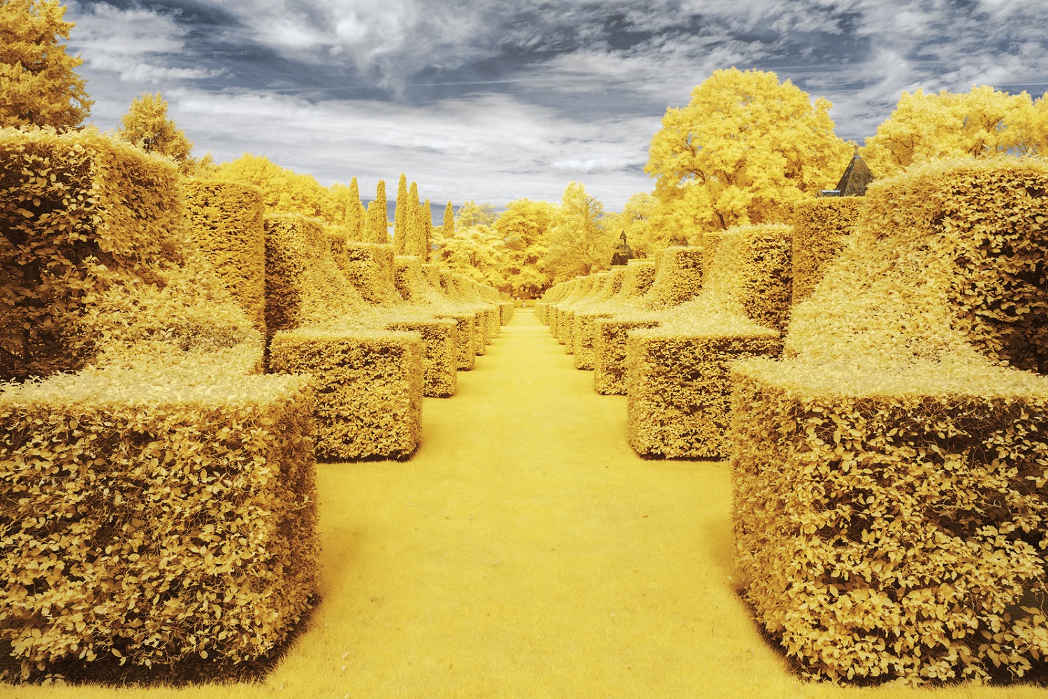 Pierre-Louis Ferrer Captures Nature in Yellow