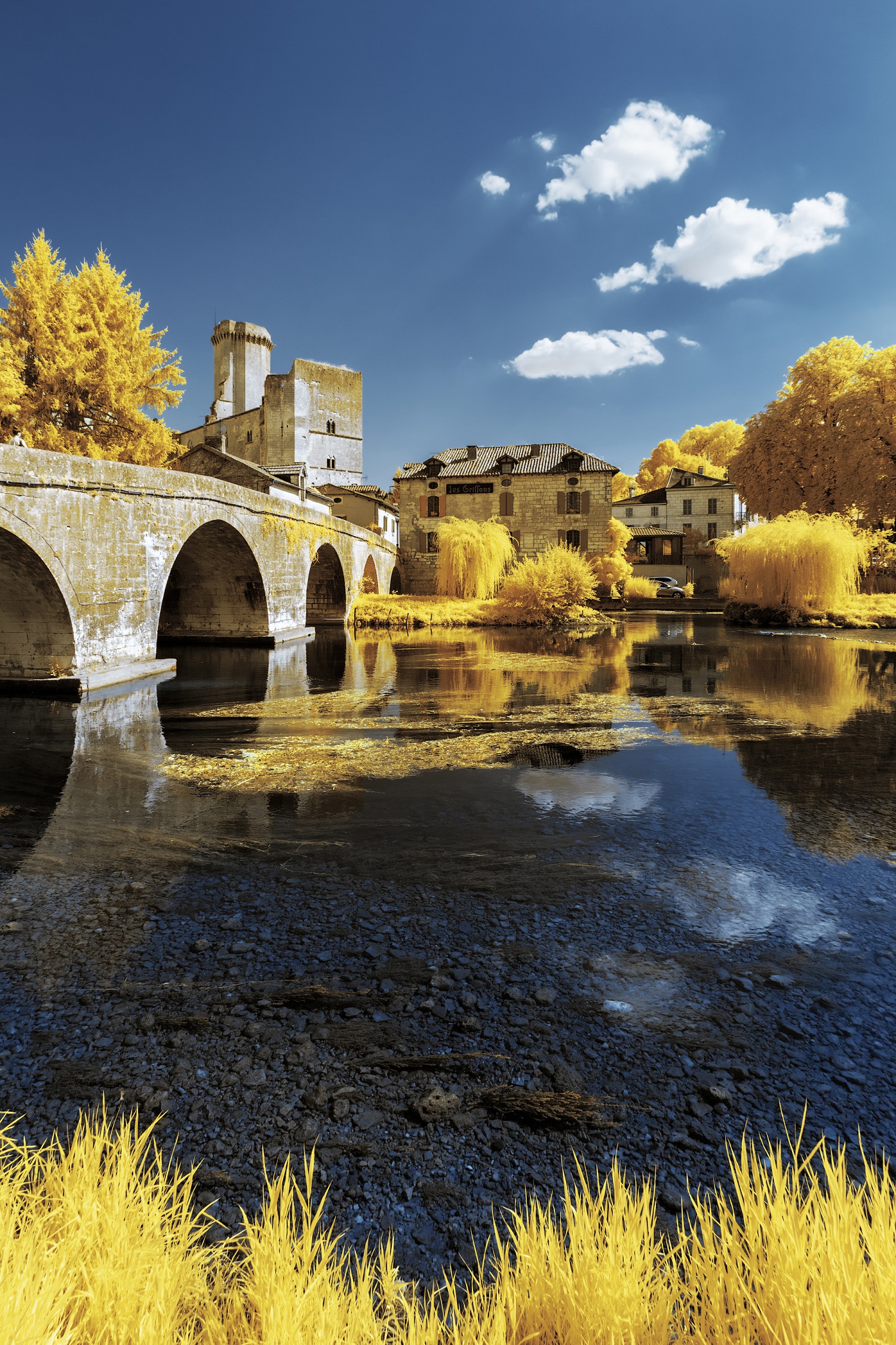 Pierre-Louis Ferrer Captures Nature in Yellow