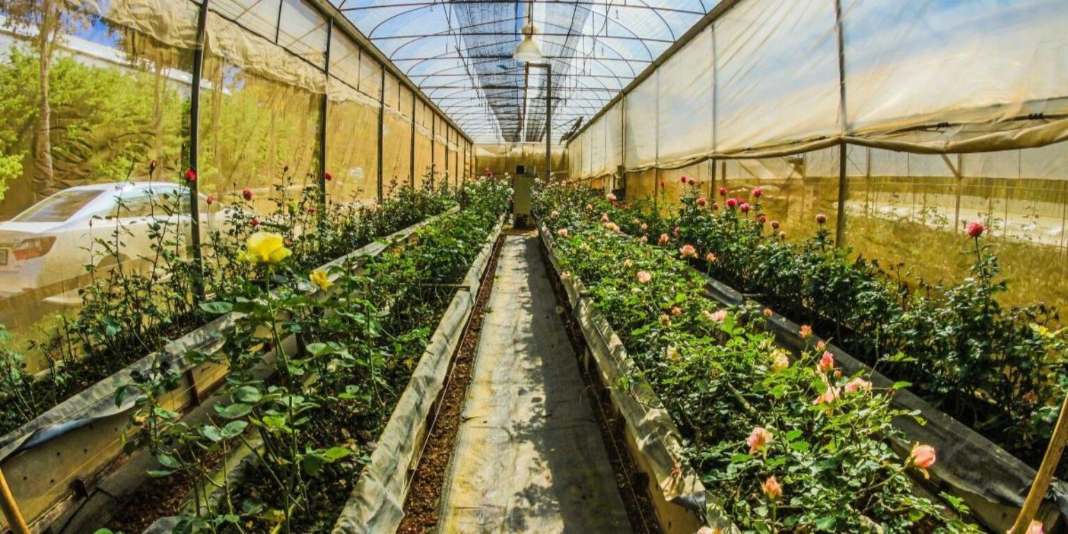 Sustainable Initiatives in Floriculture Greenhouse Marketeers