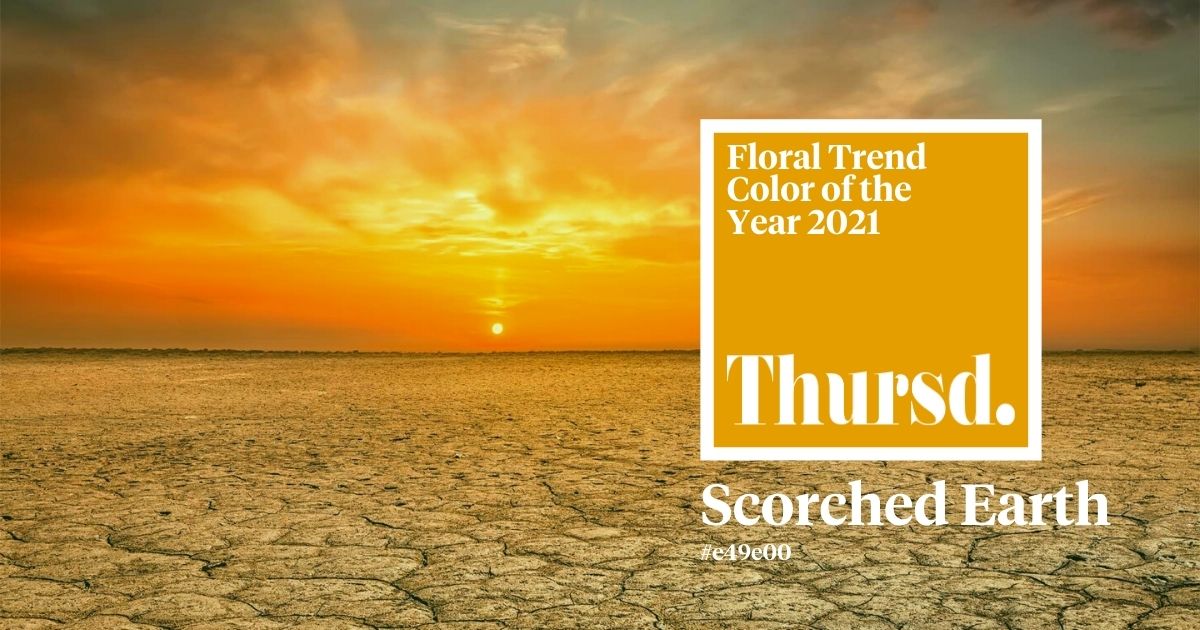 Scorched Earth - Floral Trend color of the Year 2021- Header Desert