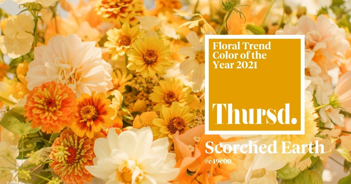 Scorched Earth - Floral Trend color of the Year 2021- Header La Musa (2)