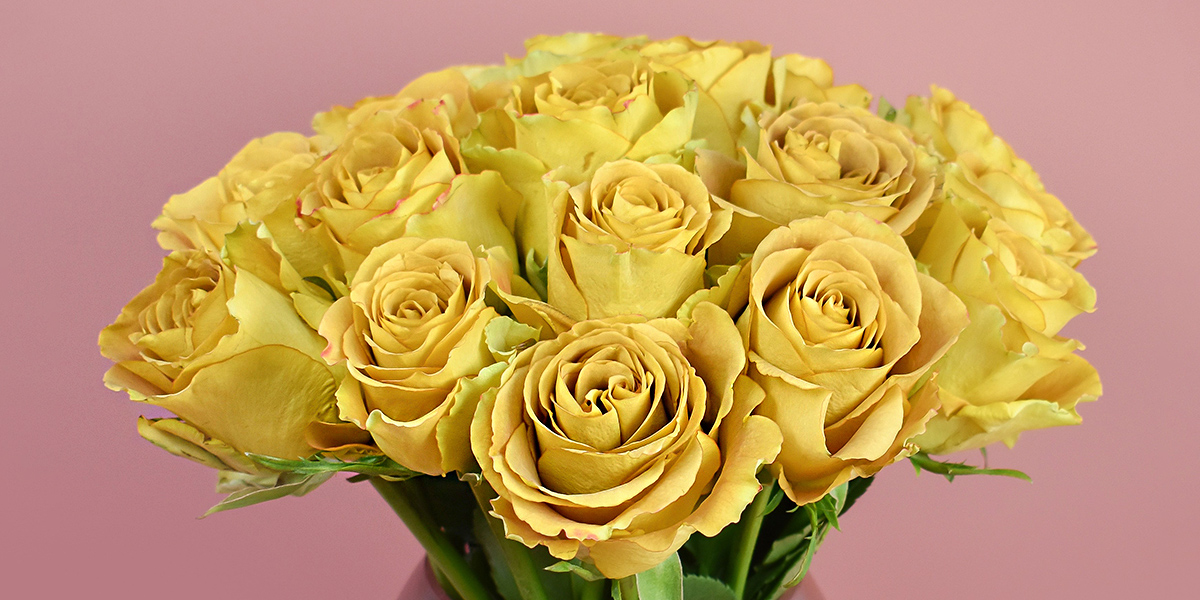 rose-heart-of-gold-cut-flower-on-thursd-header