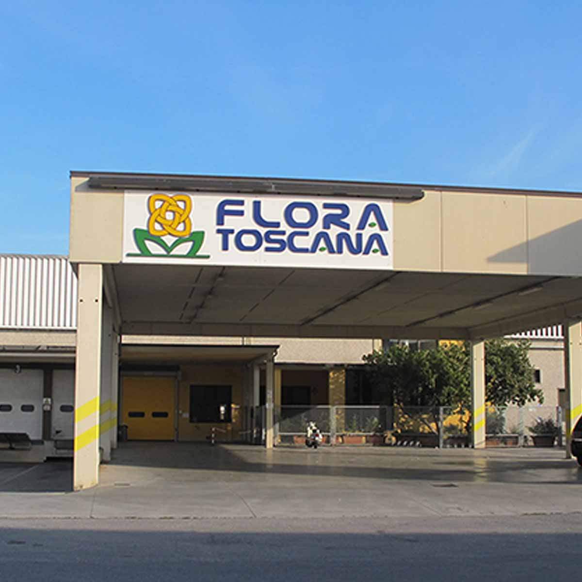 flora-toscana-trader-on-thursd-featured