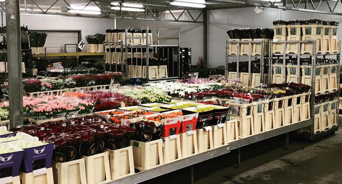 Flowervision Norwich Trader onThursd