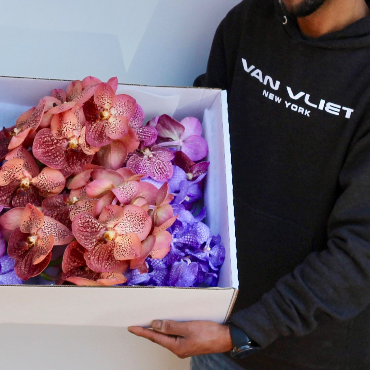 Van Vliet New York Trader onThursd