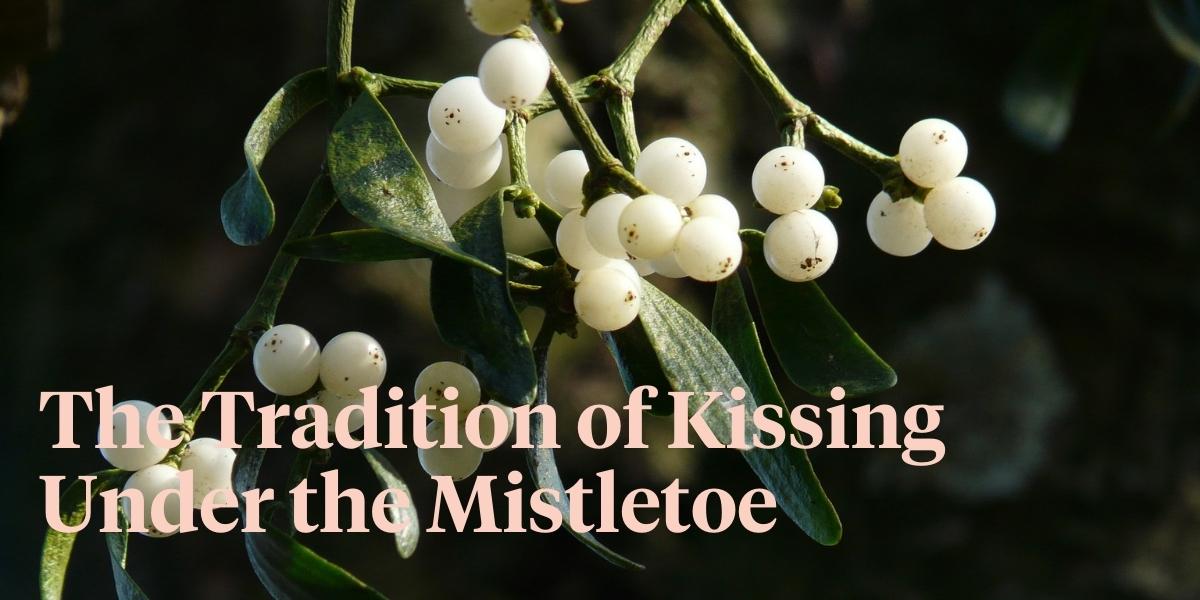 wordpress header Mistletoe - The Legend of the Famous Kissing Plant.jpg