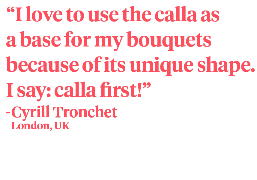 Playing and Designing With the Stylish Calla - Designer Cyrill Tronchet