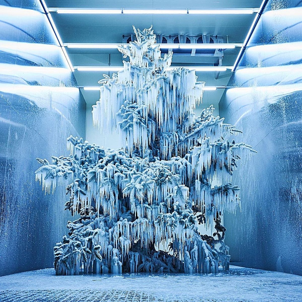 Azuma Makoto's Frozen Tree - Get Bedazzled by the Beauty of This Recycled Christmas Tree