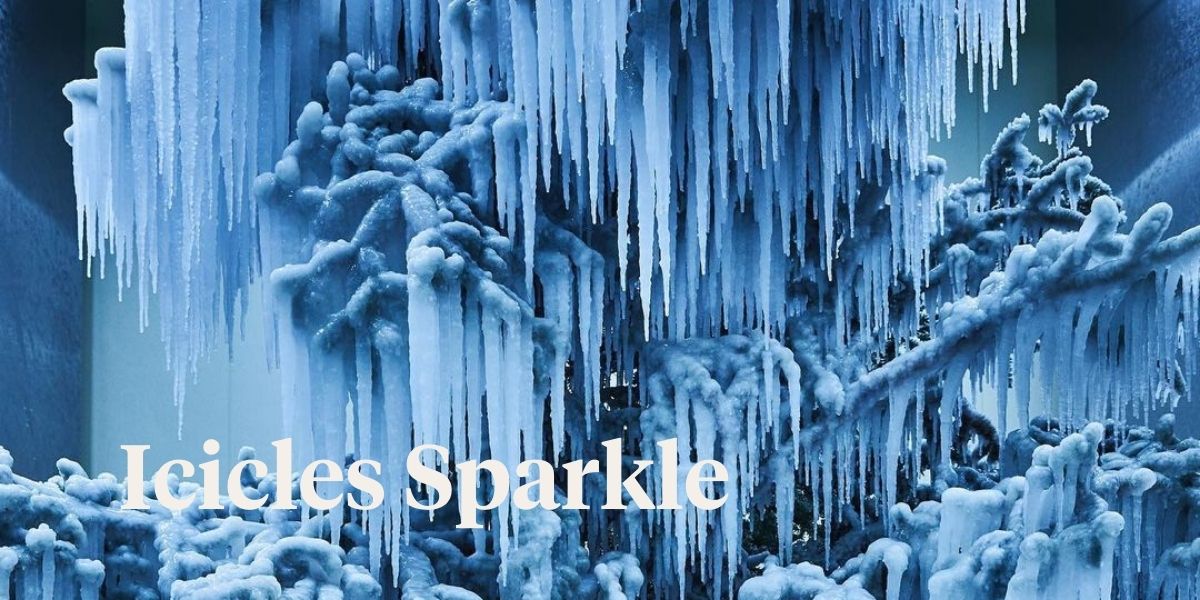 Header Web - Azuma Makoto's Frozen Tree - Get Bedazzled by the Beauty of This Recycled Christmas Tree  -  Article on Thursd.jpg