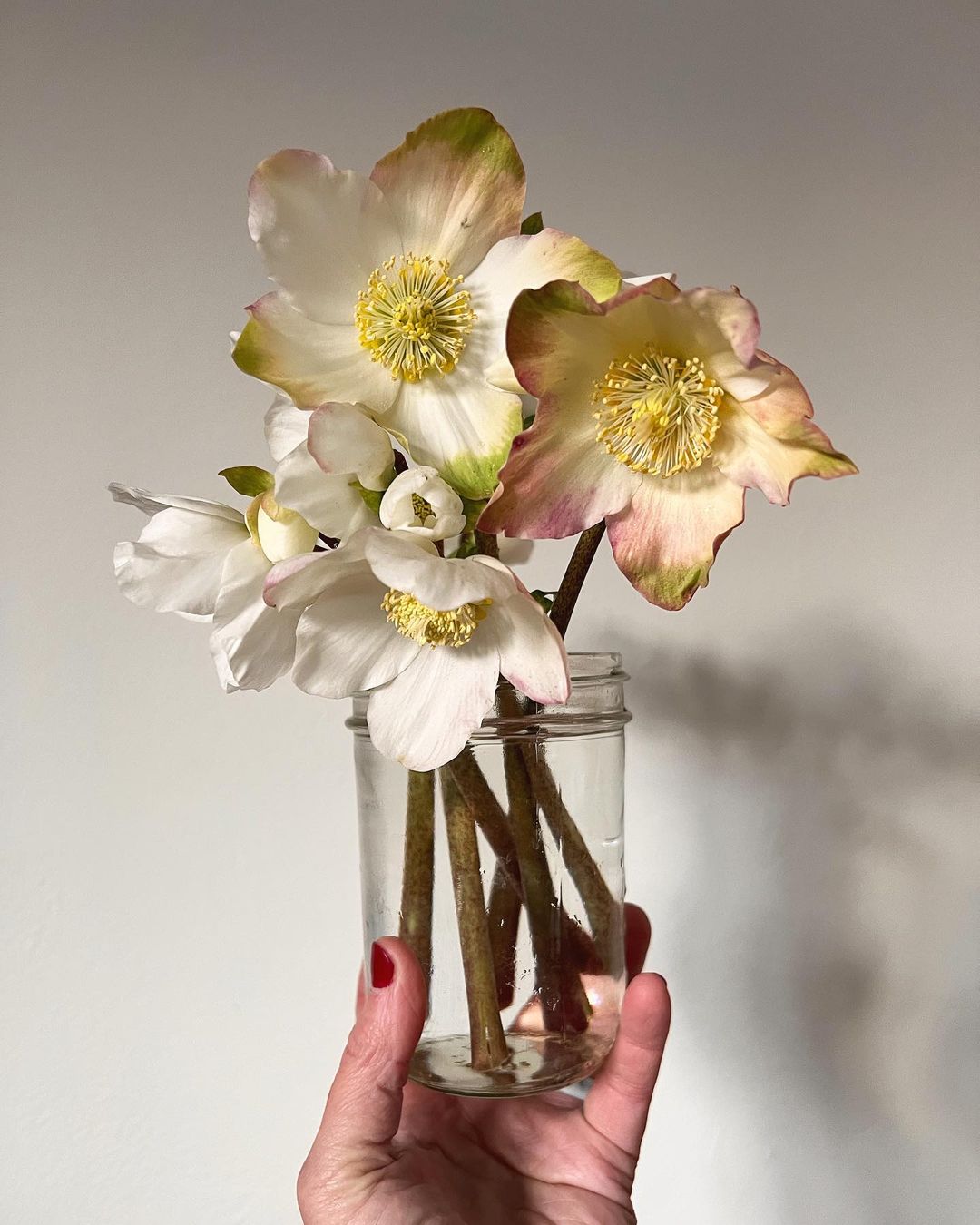 15 Winter Wedding Flowers for Your Seasonal Floral Arrangements Hellebore