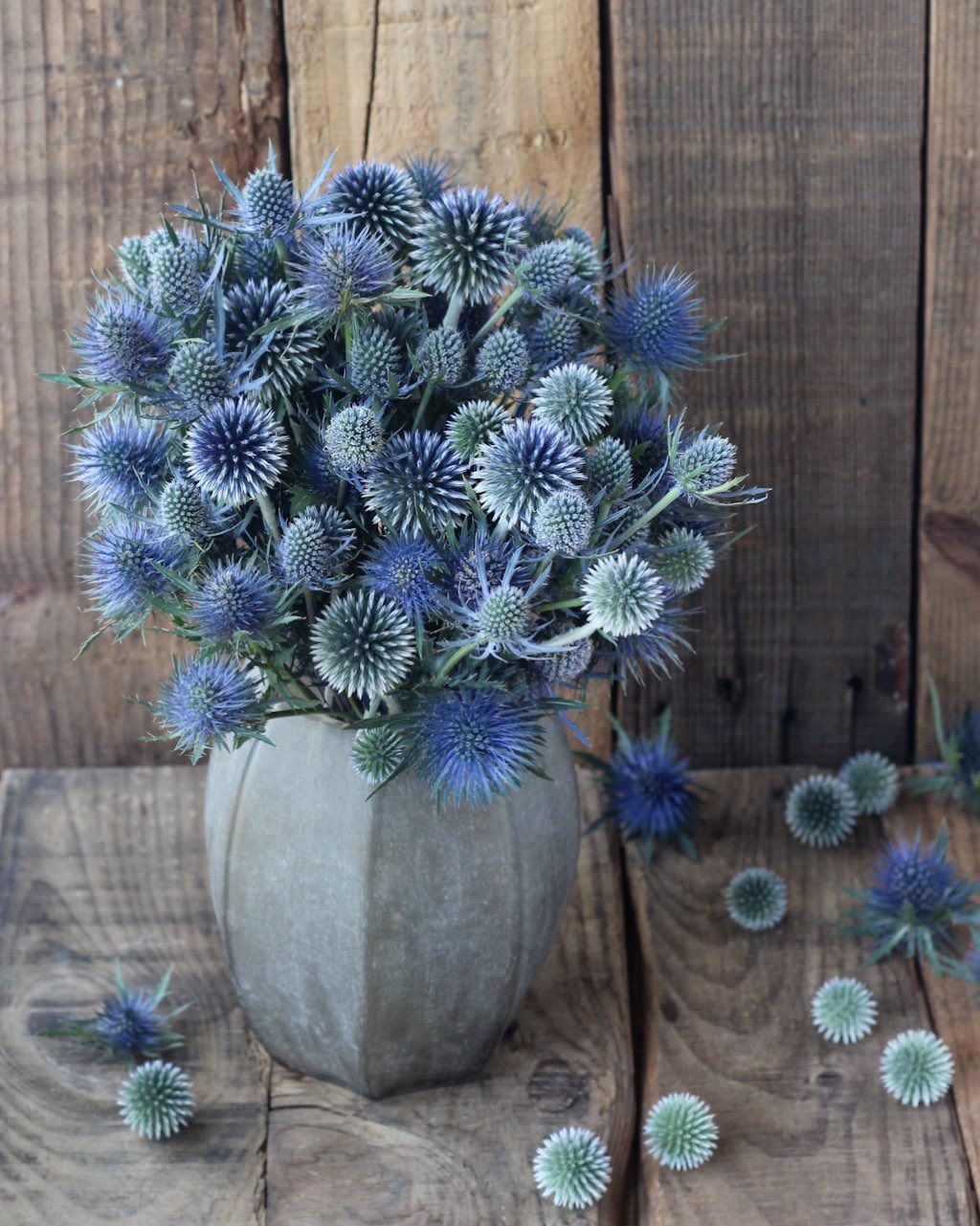 15 Winter Wedding Flowers for Your Seasonal Floral Arrangements Eryngium