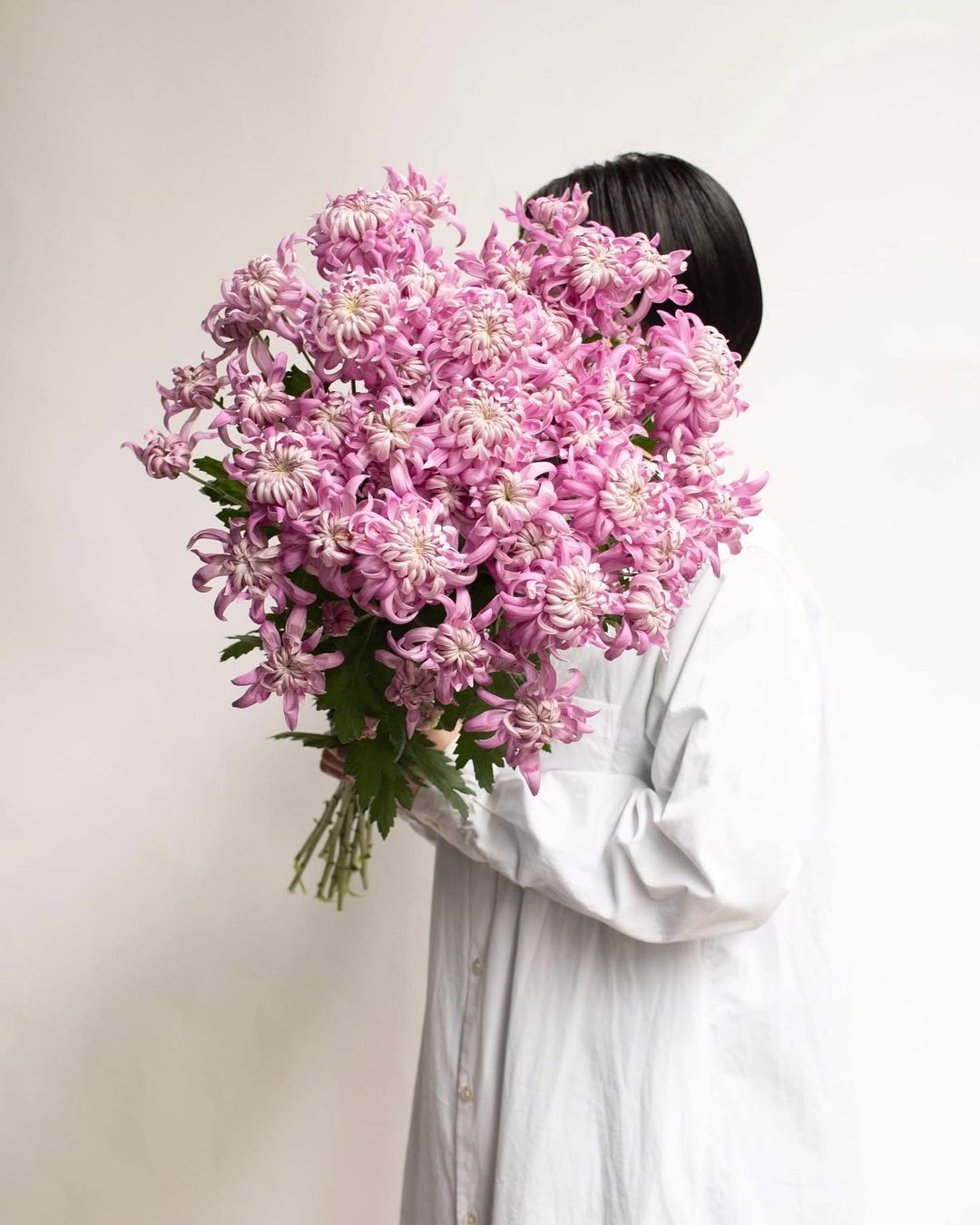 15 Winter Wedding Flowers for Your Seasonal Floral Arrangements Chrysanthemum