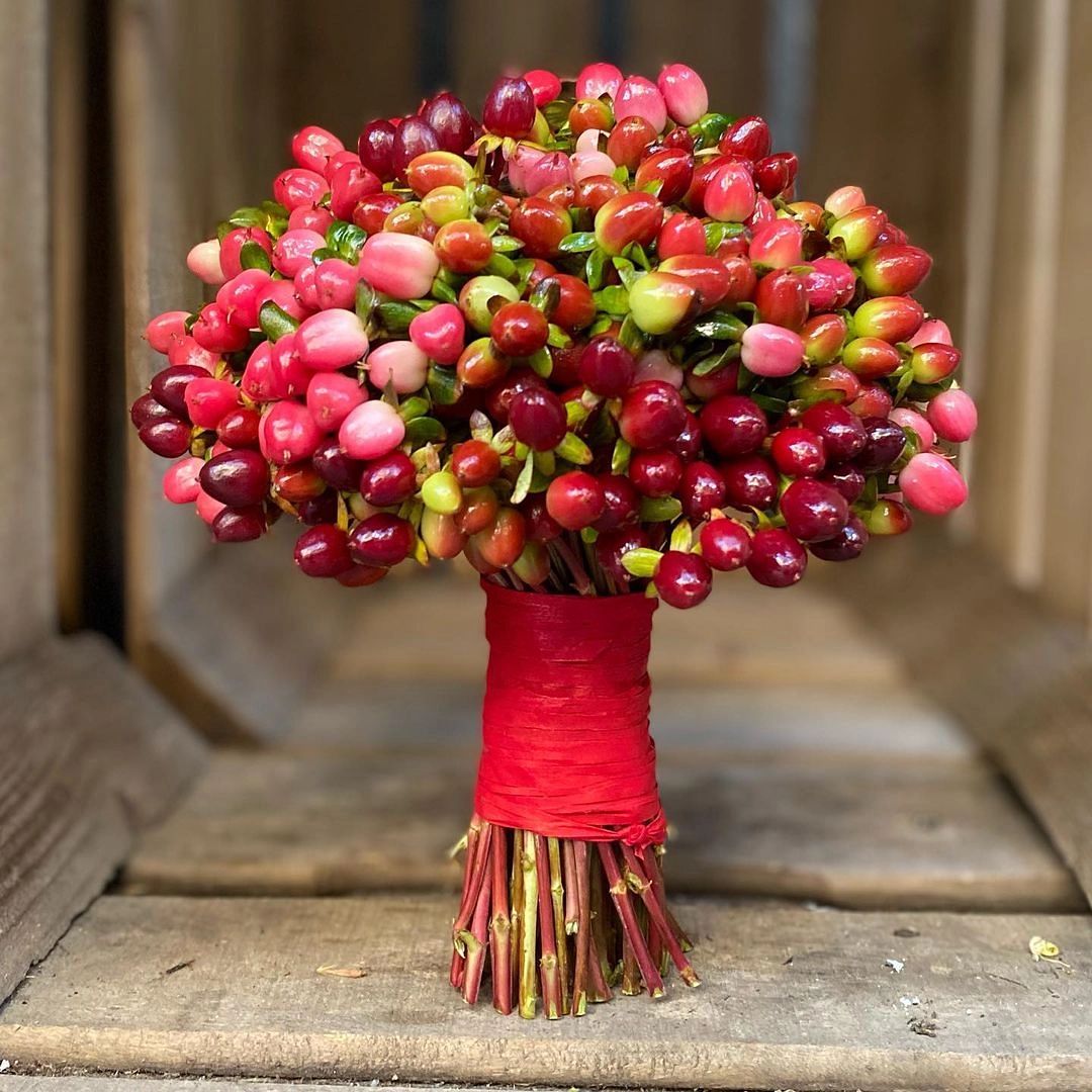 15 Winter Wedding Flowers for Your Seasonal Floral Arrangements Hypericum