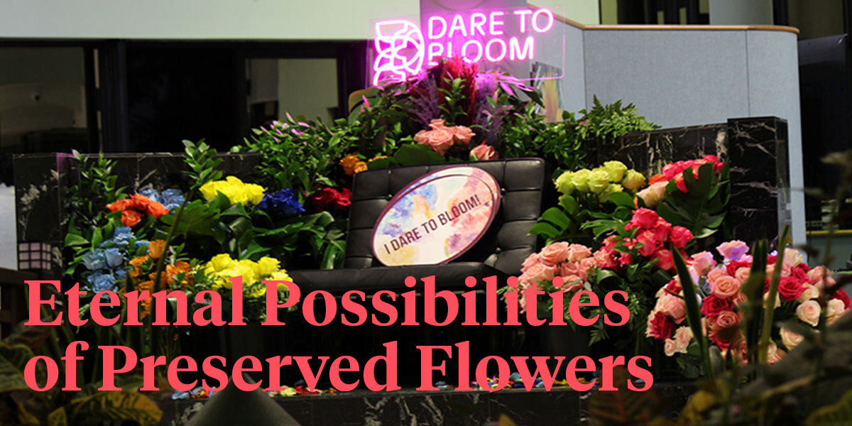 dare-to-bloom-a-lesson-in-collaboration-header