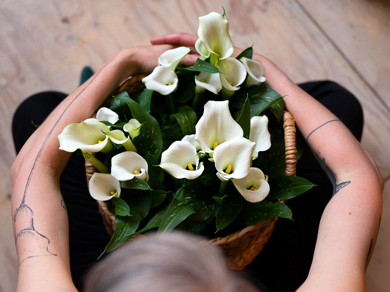 Make Your Home and Outdoor Space More Calla-ful in 2022
