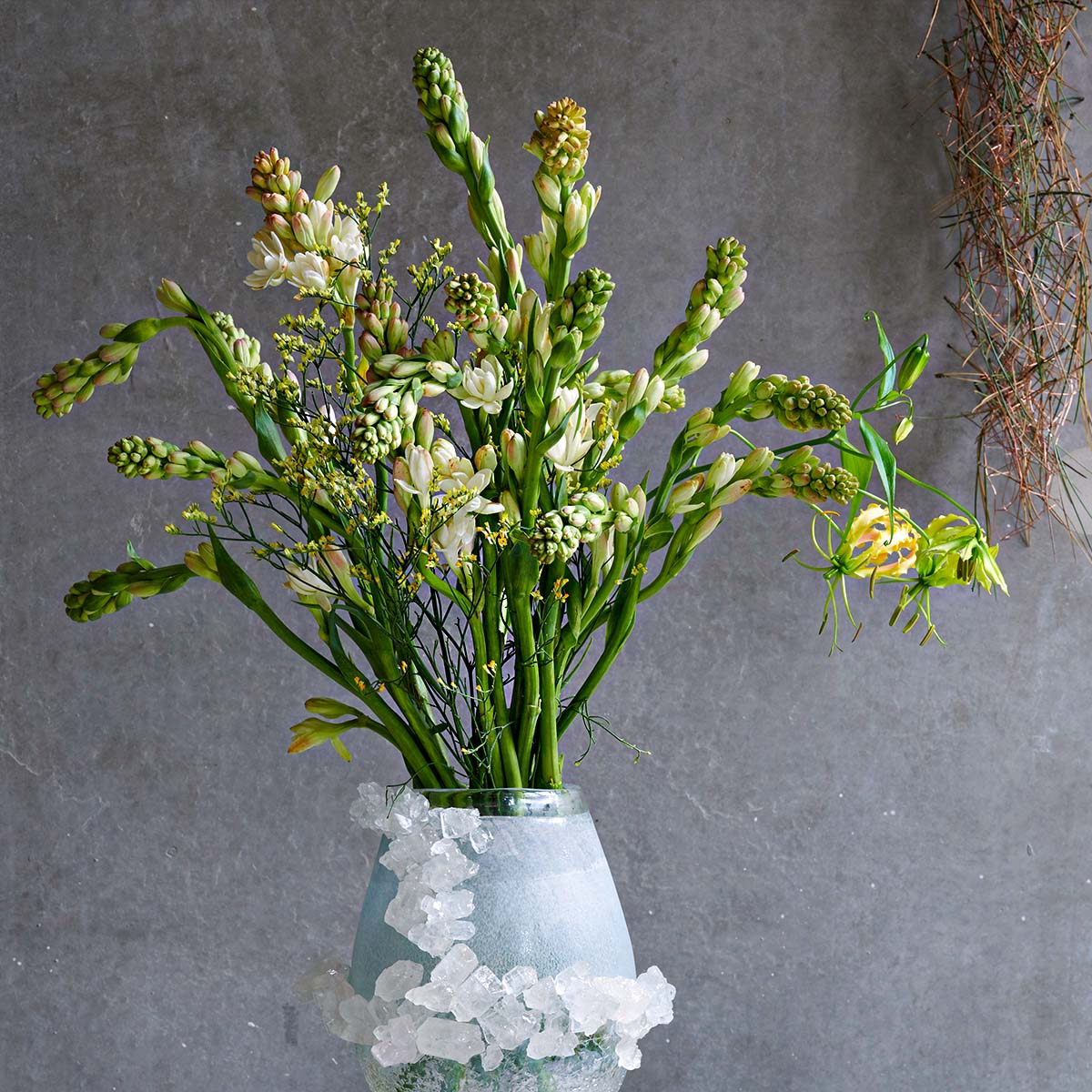 How to Get the Most Out of the Lovely Smelling Polianthes Tuberosa