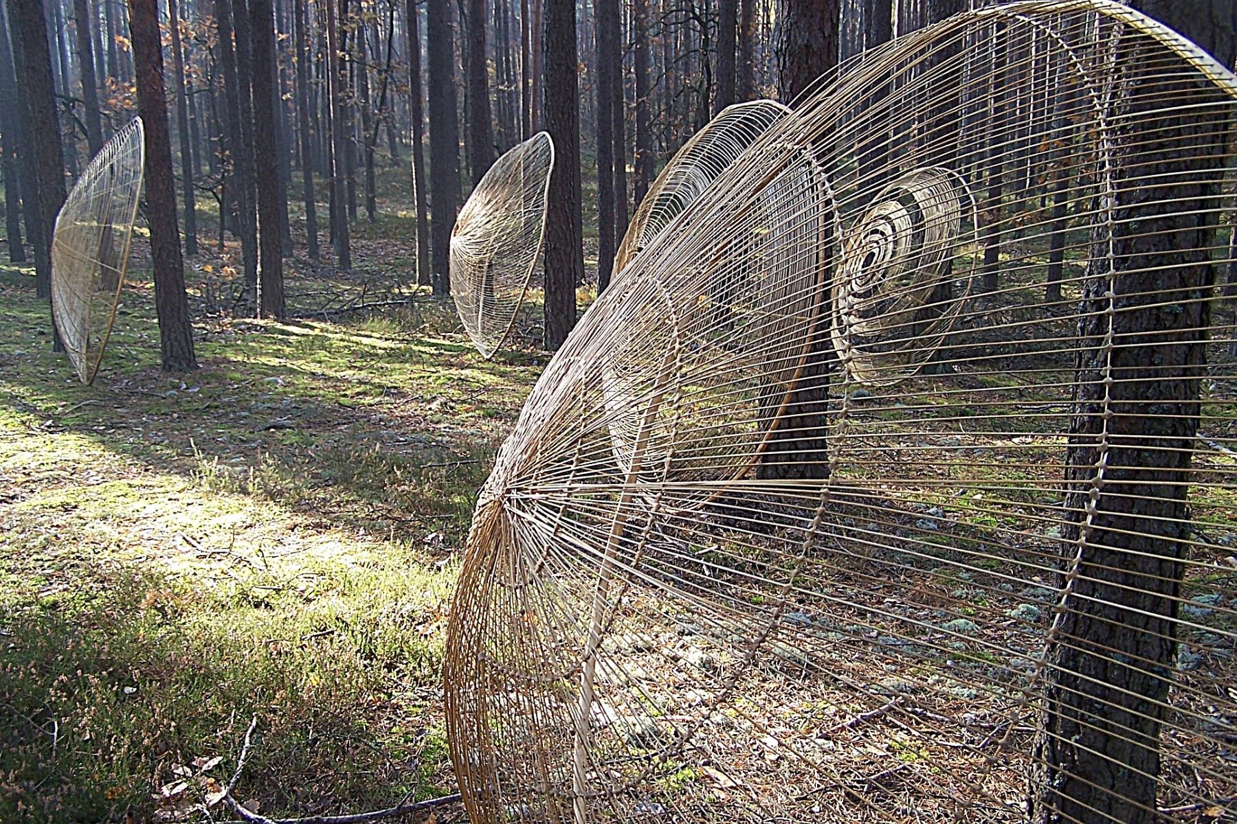 Land Art Is Miroslaw Maszlanko's Passion - An Unlimited Patience to Create Diffraction - Article on Thursd 