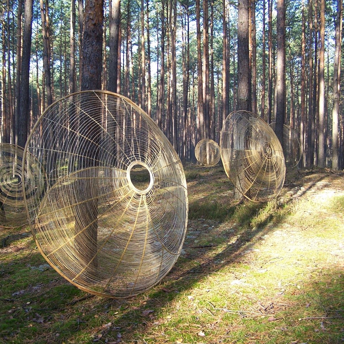Land Art Is Miroslaw Maszlanko's Passion - An Unlimited Patience to Create "Diffraction"