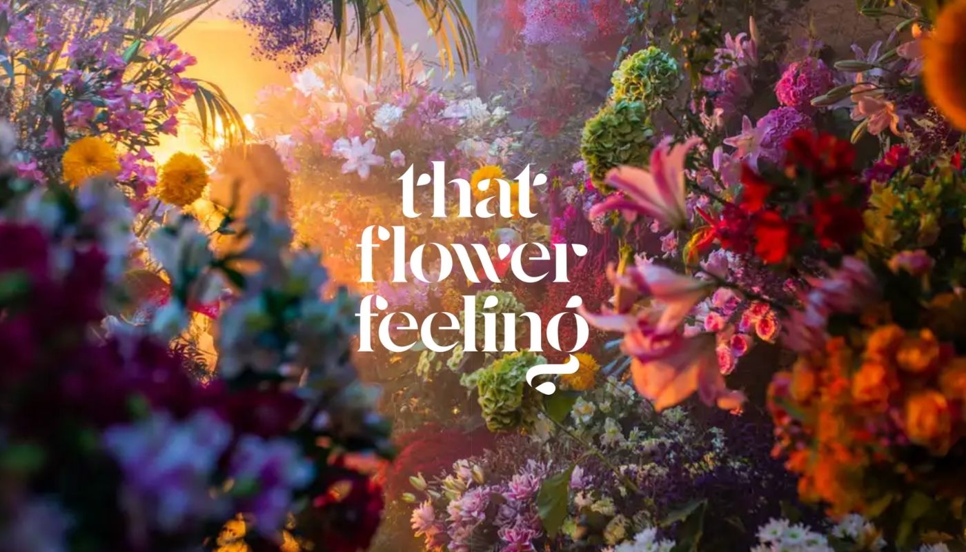 That Flower Feeling title banner on Thursd