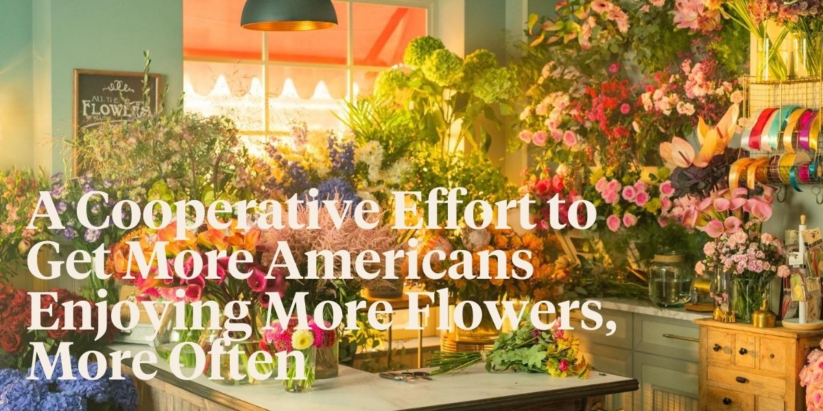that-flower-feeling-campaign-started-header