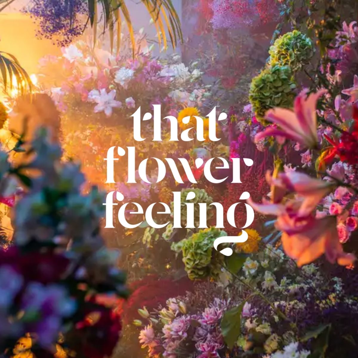 That flower feeling