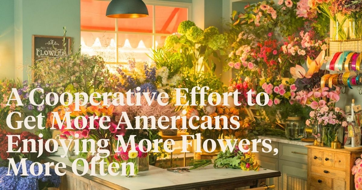 That Flower Feeling Campaign Started Article onThursd