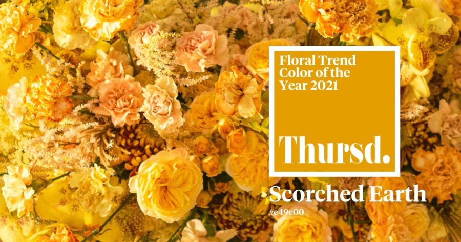 Scorched Earth - Floral Trend color of the Year 2021- Header Bolte