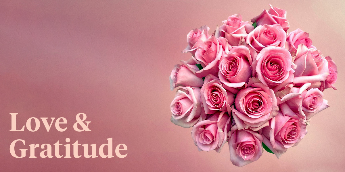 These Are the Perfect Pink Roses From De Ruiter for Your Pretty 