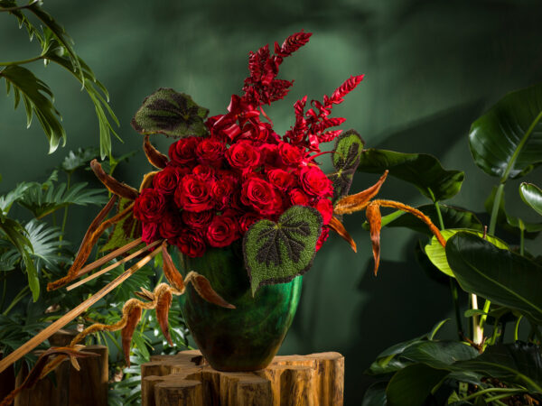 Red Tacazzi roses are perfect for a Valentine's gift