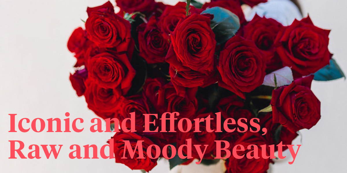 why-we-give-roses-on-valentines-day-header