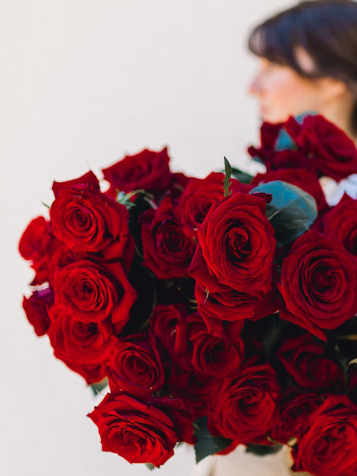 Why We Give Roses on Valentine's Day luxury red roses
