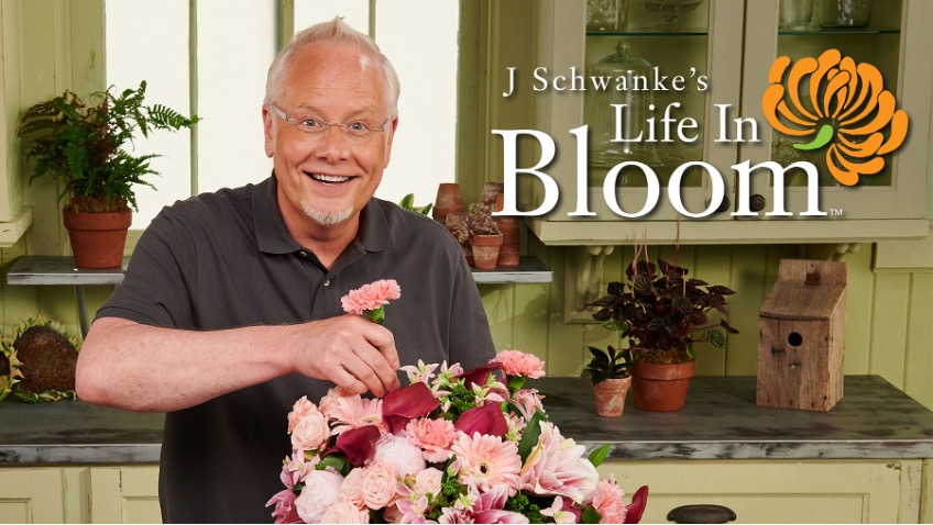 J Schwanke Life In Bloom Season 4 - on Thursd