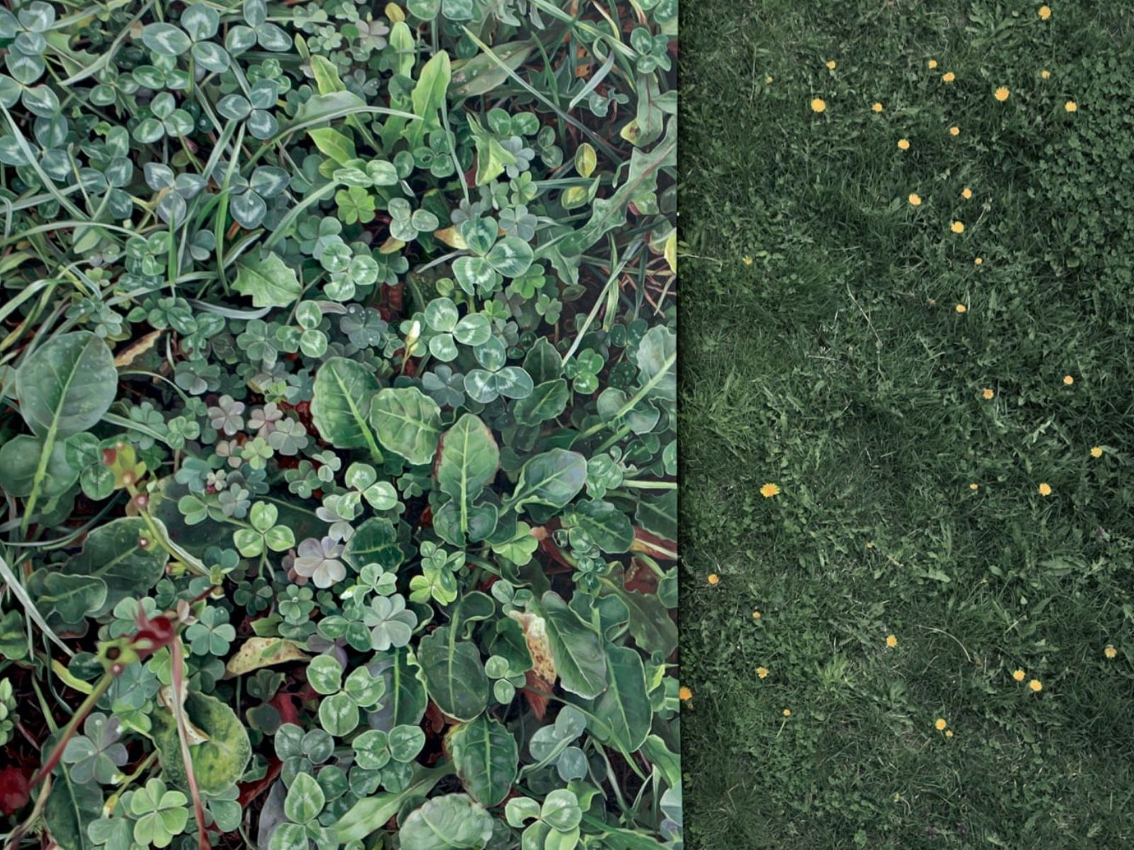 Ultra-realistic oil painting of a grassy filled forest floor