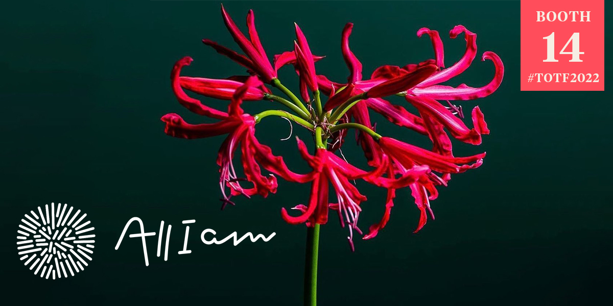 totf2022-we-the-worlds-most-wonderful-nerines-presented-by-all-i-am-header