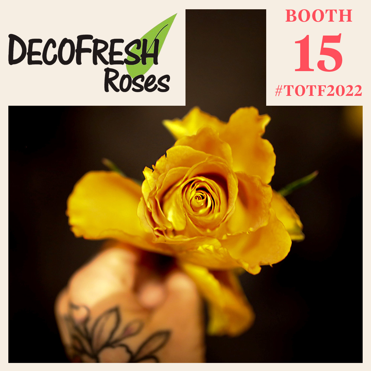 totf2022-we-six-things-about-decofresh-featured