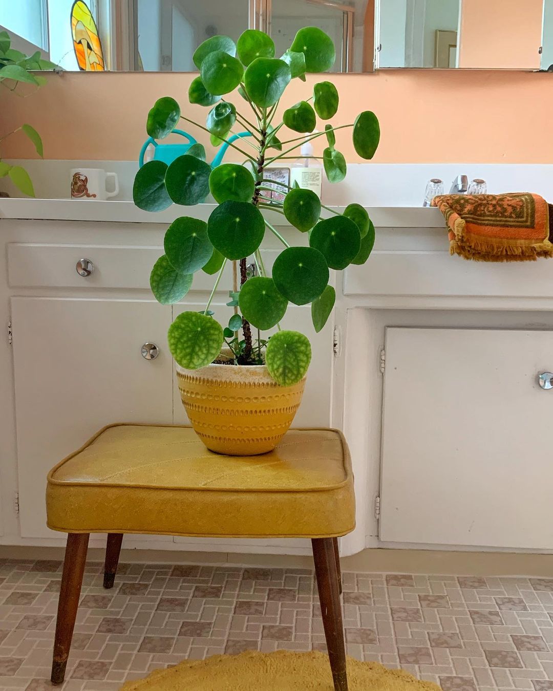 Go Back to Green Sixties With Retro Houseplants Article Thursd