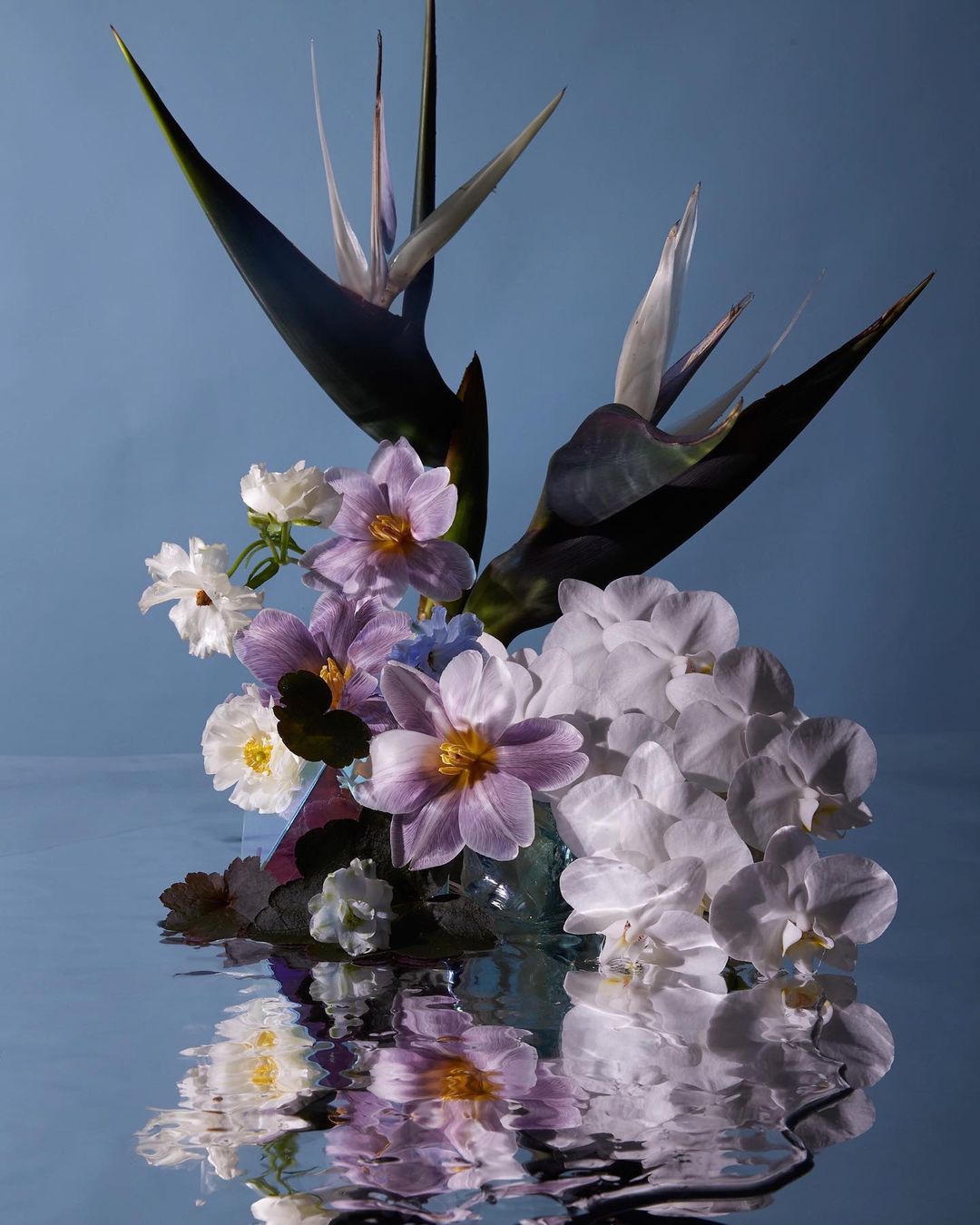 Doan Ly Has a Knack For Capturing the Ethereal Beauty of Flowers Floral Art