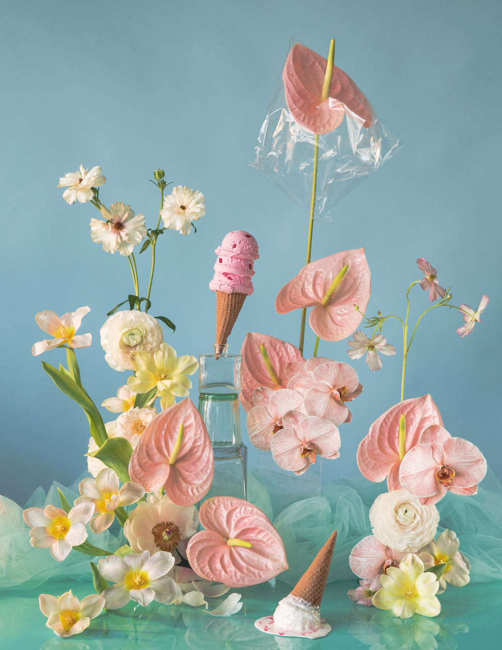 Doan Ly Has a Knack For Capturing the Ethereal Beauty of Flowers Still Life Flower Photography