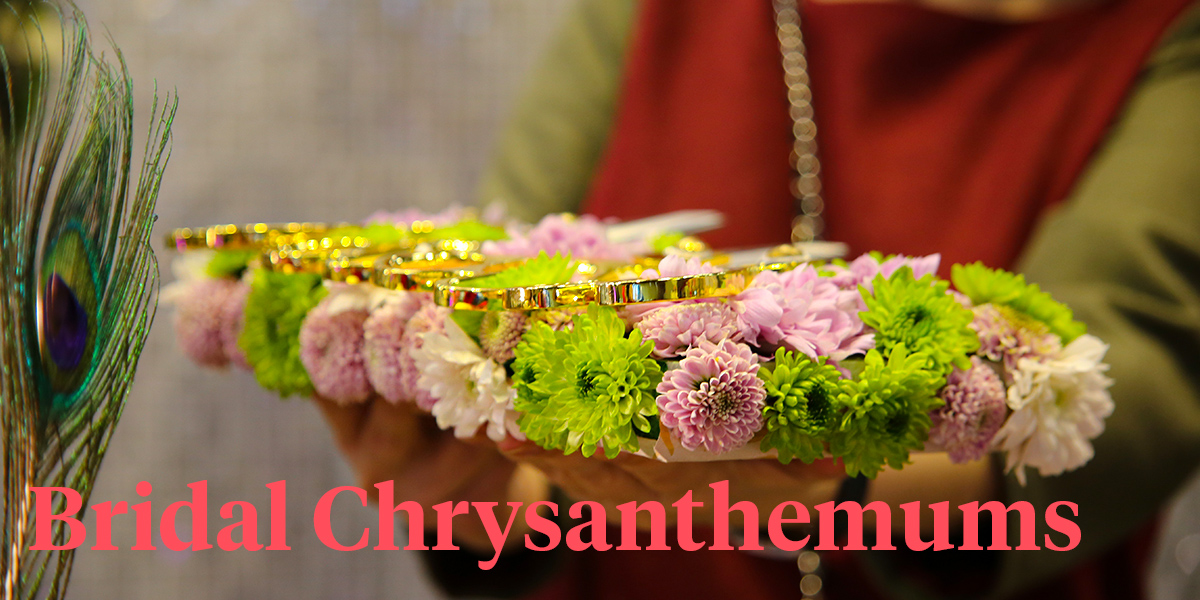 the-russian-bridal-season-kicks-off-with-chrysanthemums-header
