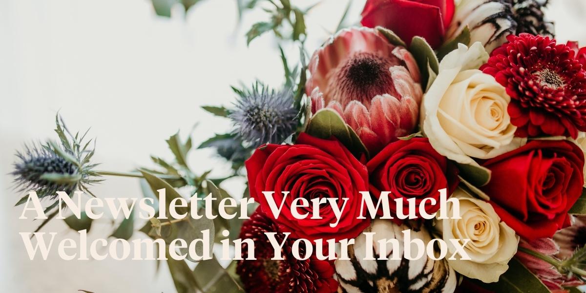newsletters-in-floriculture-you-dont-want-to-miss-above-lets-bloom-header