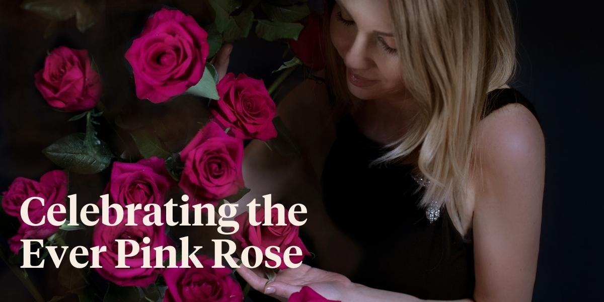 the-ever-pink-rose-wont-let-you-down-header